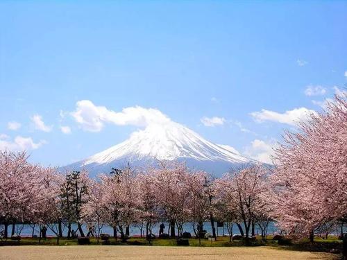 多摩美术大学申请条件！（日本留学）