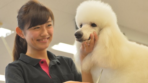 专门学校千叶爱犬动物FLOWER学园