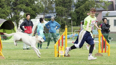 北海道动物医疗专门学校