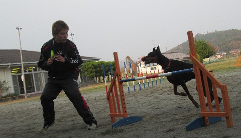 广岛ANIMAL CARE专门学校